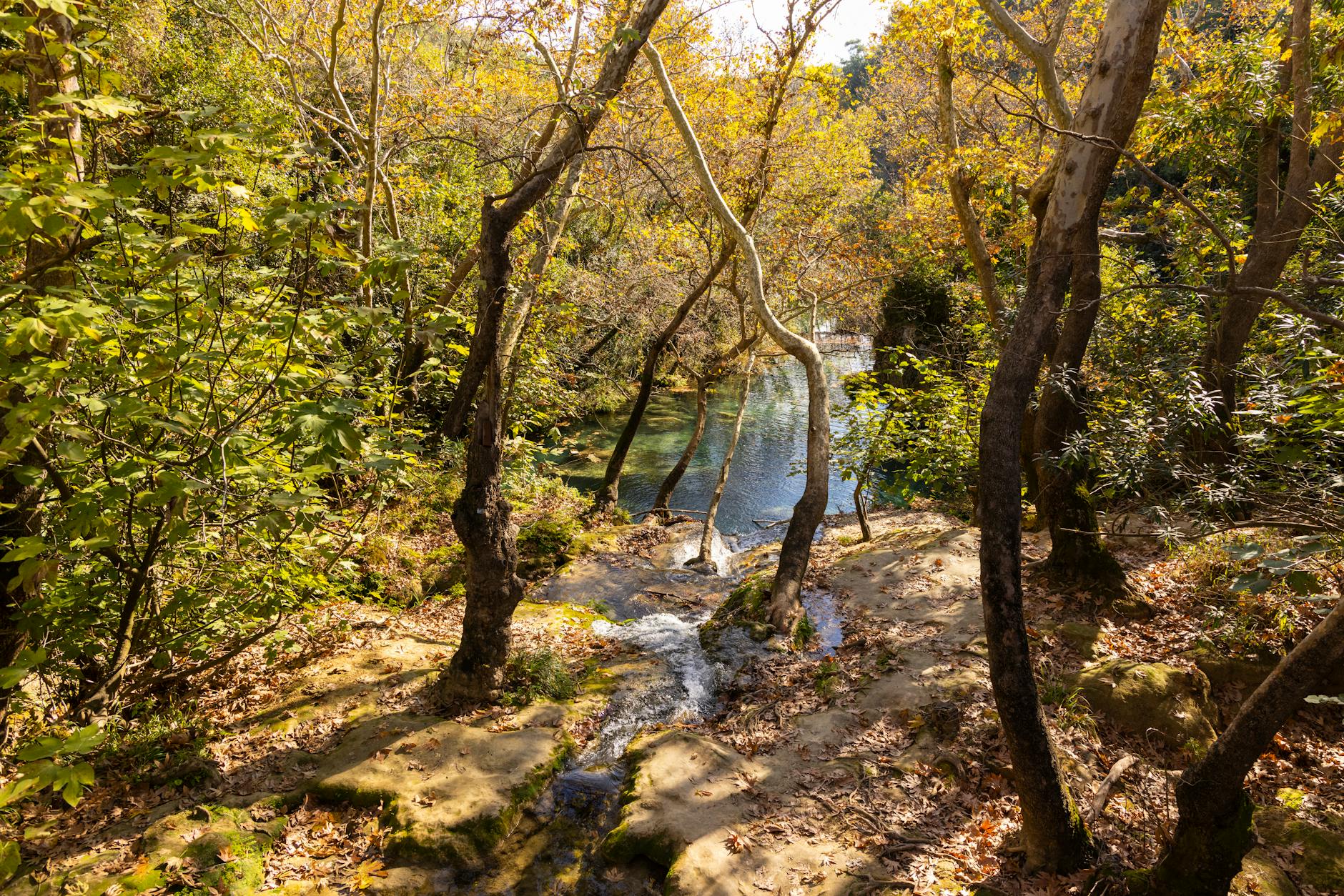Nature, Rejuvenation and Creative Writing